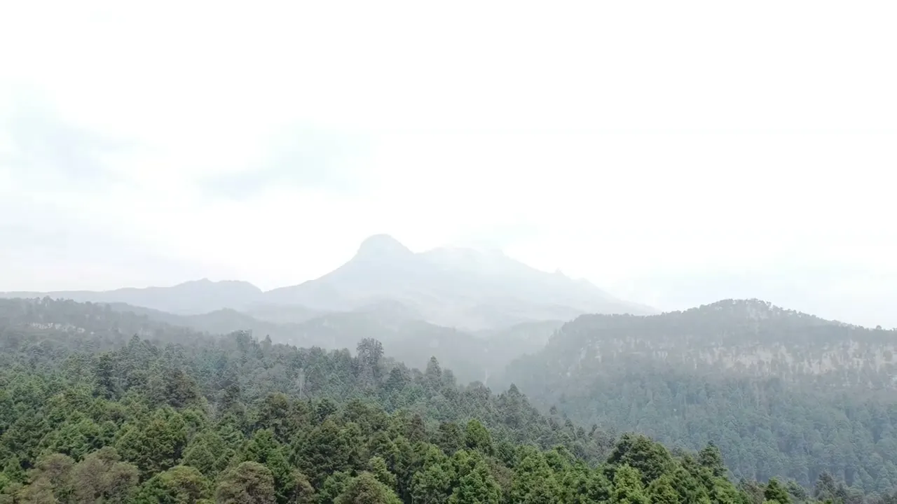 Montañas y bosque cerca de la presa