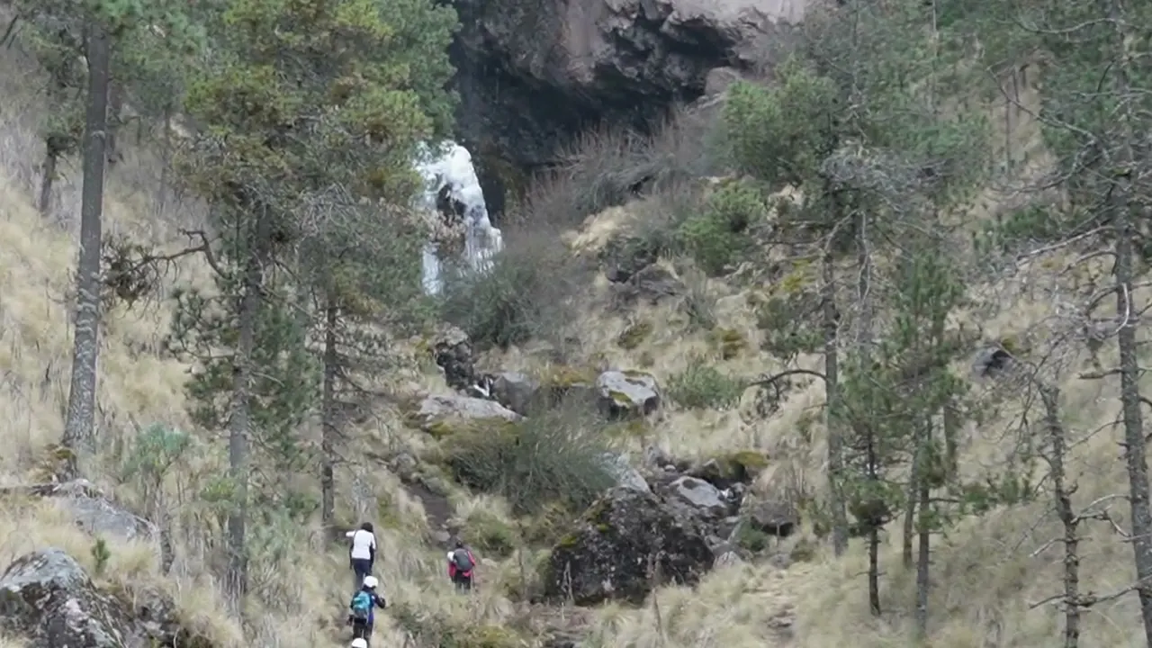 La cascada vista desde el sendero, entre los pinos
