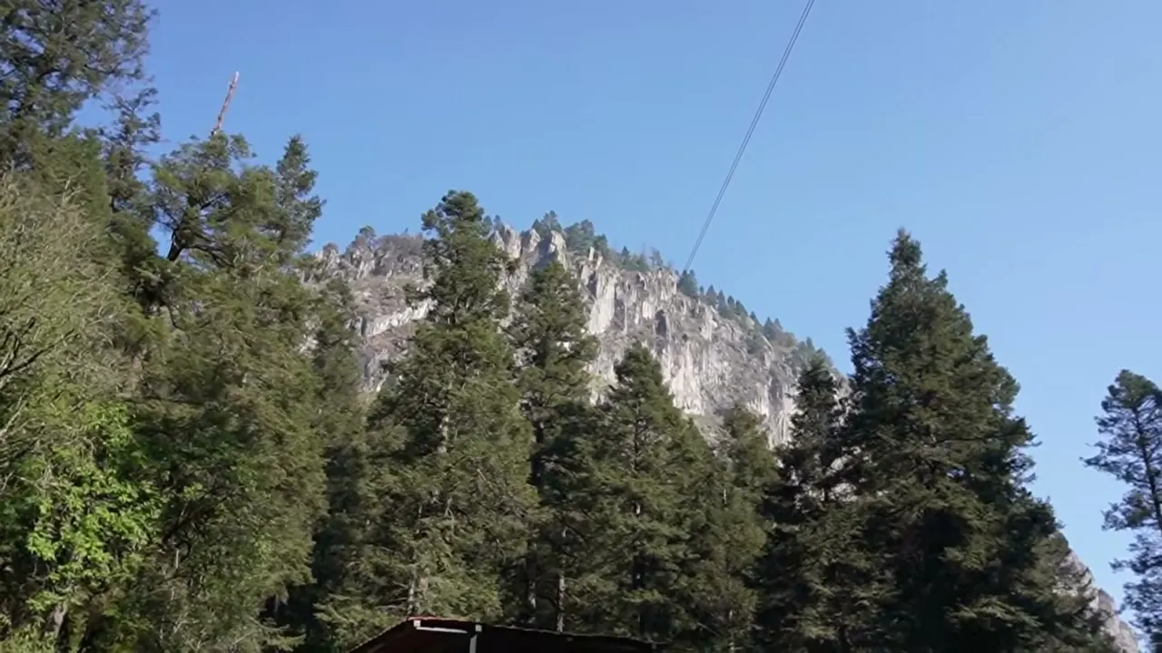 Pinos y peñas al inicio de la ruta en Los Dinamos