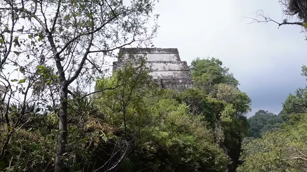 La pirámide del Tepozteco asomándose entre los árboles