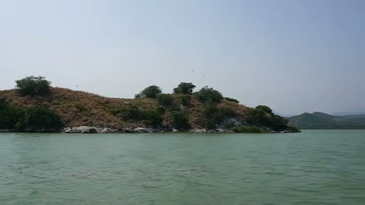 Isla Montosa vista desde la lancha