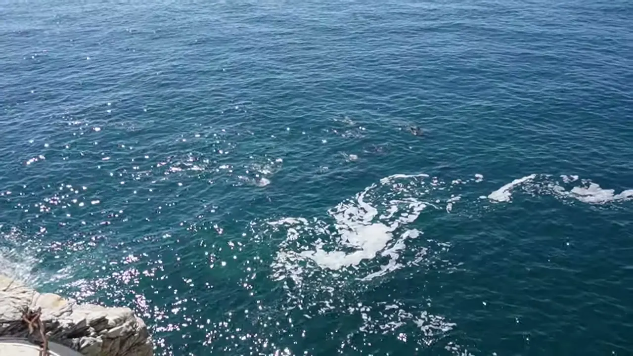El mar frente a El Clarín, donde aparecieron los delfines