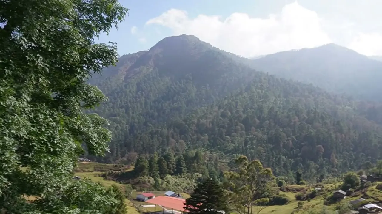 Montañas y bosque alrededor de Puerto del Gallo