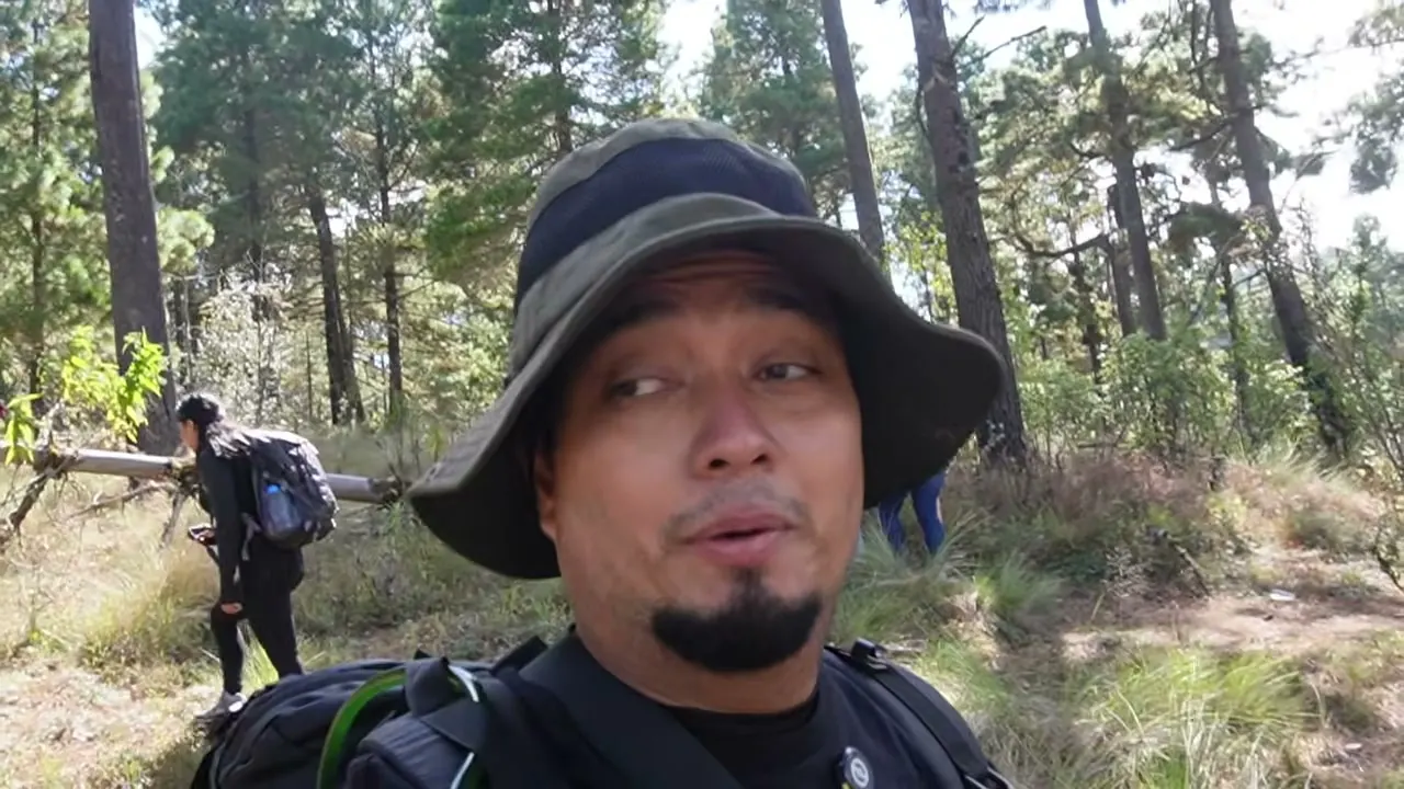 En el sendero de pinos rumbo a la cumbre